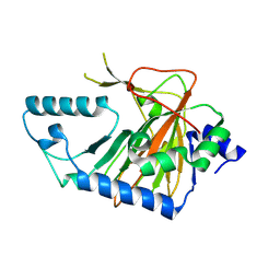 BU of 2opw by Molmil