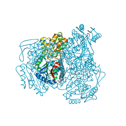 BU of 2opx by Molmil