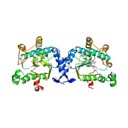 BU of 2oq2 by Molmil