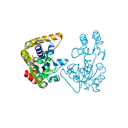 BU of 2ovb by Molmil