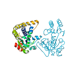 BU of 2ovf by Molmil