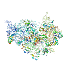 AU of 2ow8 by Molmil