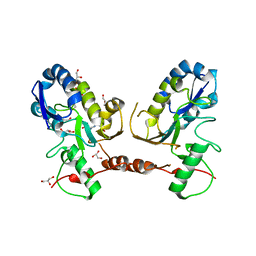 AU of 2owr by Molmil