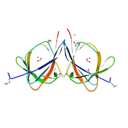 AU of 2ozi by Molmil