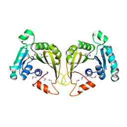 BU of 2ozv by Molmil