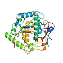 BU of 2p3x by Molmil