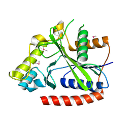 BU of 2p5i by Molmil