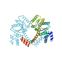 BU of 2p67 by Molmil