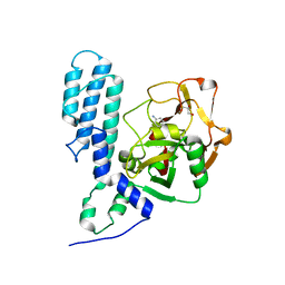 AU of 2pa9 by Molmil