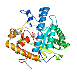 BU of 2pb1 by Molmil