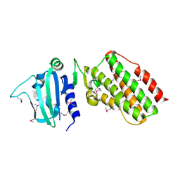 BU of 2pbe by Molmil