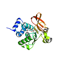 BU of 2pbf by Molmil