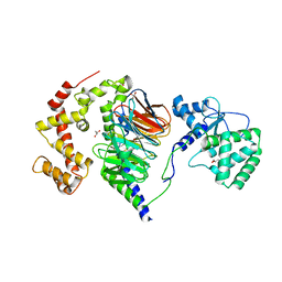 BU of 2pbi by Molmil