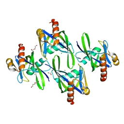 AU of 2pbt by Molmil