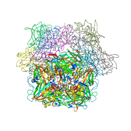 BU of 2pcd by Molmil