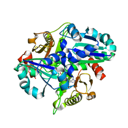 BU of 2pci by Molmil