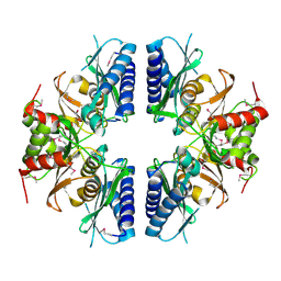 BU of 2pcr by Molmil