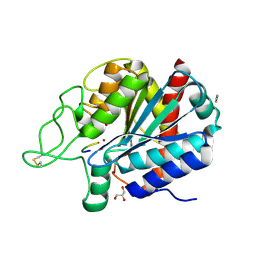 BU of 2pcu by Molmil