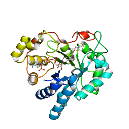 BU of 2pd5 by Molmil