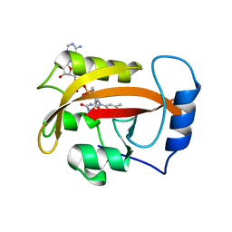 BU of 2pd7 by Molmil