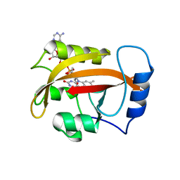 BU of 2pd8 by Molmil