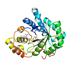 BU of 2pd9 by Molmil