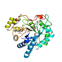 AU of 2pdb by Molmil