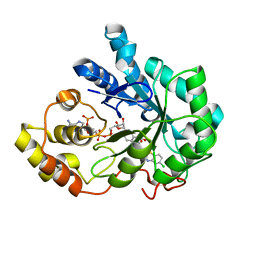 BU of 2pdg by Molmil