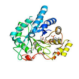 BU of 2pdh by Molmil