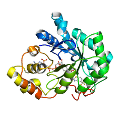 BU of 2pdi by Molmil