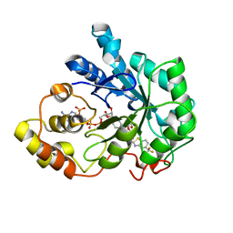 BU of 2pdm by Molmil