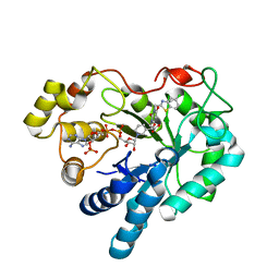 BU of 2pdn by Molmil