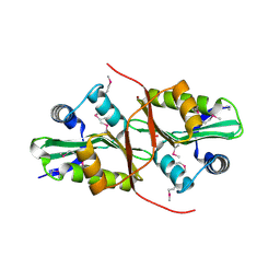 BU of 2pdo by Molmil