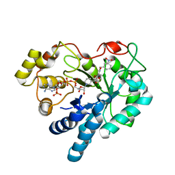 BU of 2pdp by Molmil