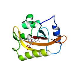 AU of 2pdt by Molmil