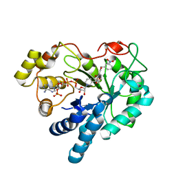 BU of 2pdu by Molmil