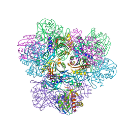 BU of 2pe3 by Molmil