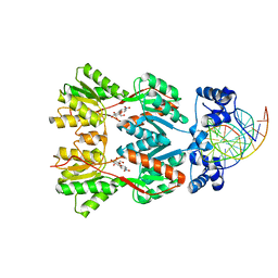 BU of 2pe5 by Molmil