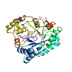 BU of 2pfh by Molmil