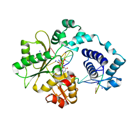 BU of 2pfn by Molmil