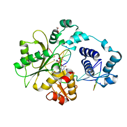 BU of 2pfo by Molmil