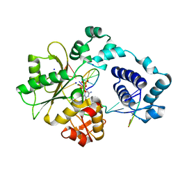 BU of 2pfp by Molmil