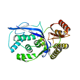 AU of 2pg9 by Molmil