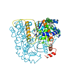 BU of 2pgi by Molmil