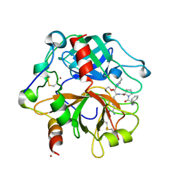 BU of 2pgq by Molmil