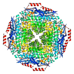 BU of 2pgw by Molmil