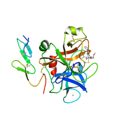 BU of 2phb by Molmil