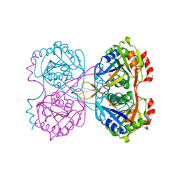 AU of 2phj by Molmil
