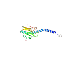 BU of 2pil by Molmil