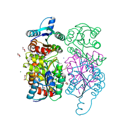 AU of 2pjk by Molmil